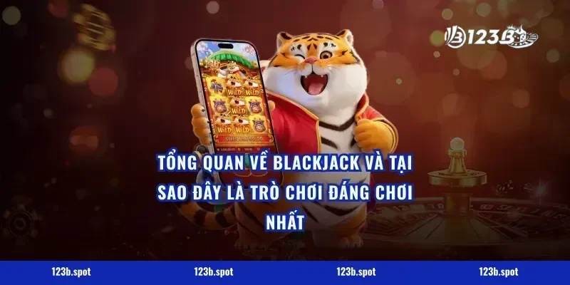Tổng Quan Về Blackjack Và Tại Sao Đây Là Trò Chơi Đáng Chơi Nhất