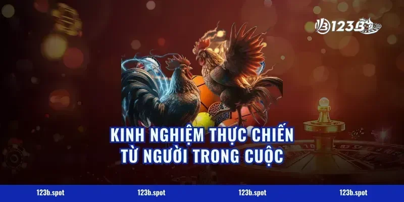 Kinh Nghiệm Thực Chiến Từ Người Trong Cuộc